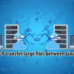 Use SCP to Transfer Data in Linux
